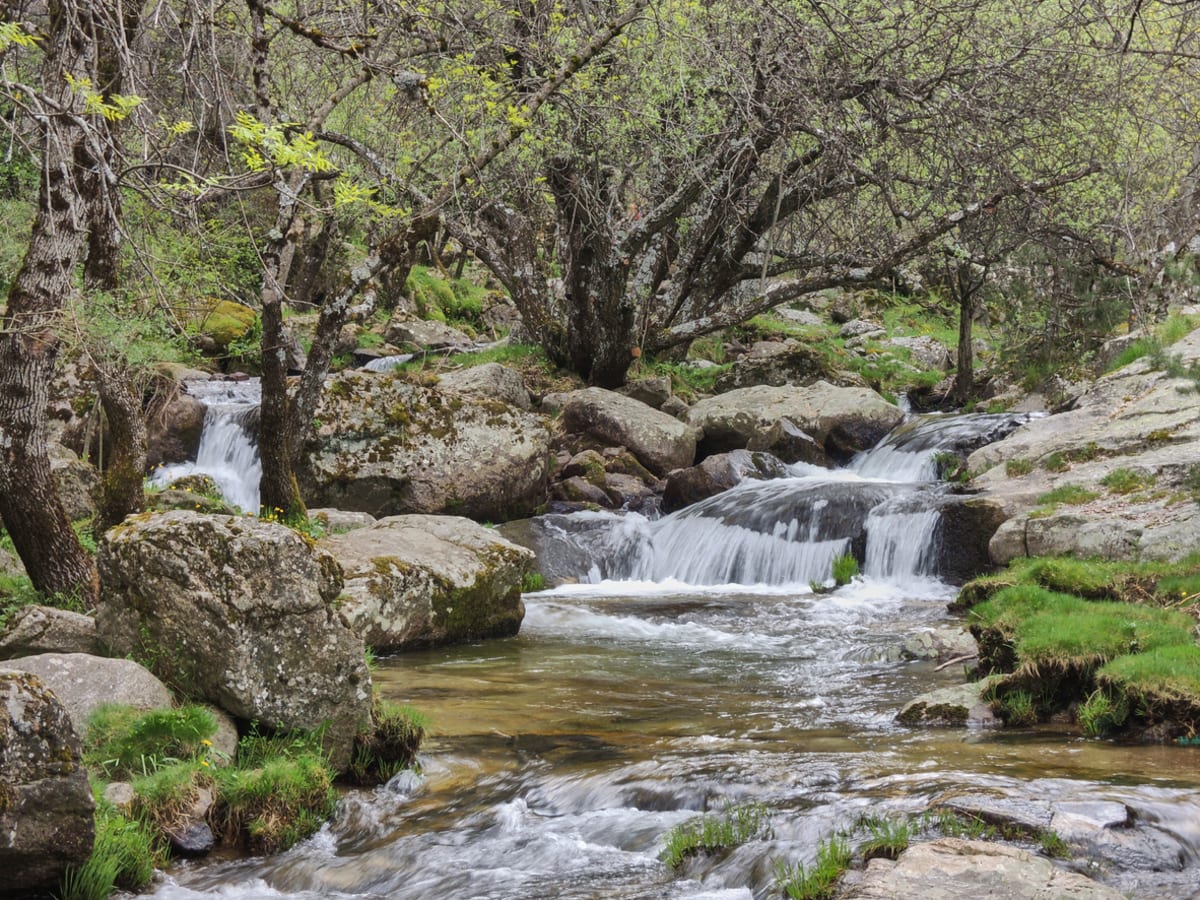 Private tour: Route to the Purgatory Waterfalls with local guide - Image 1